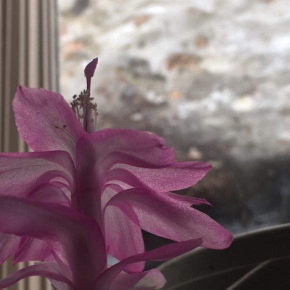 Spring closet updates - Picture 6 of 7